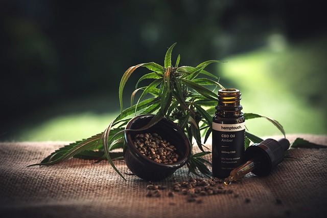 De weldadige wereld van wietolie cbd: alles wat je moet weten